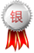 银牌企业